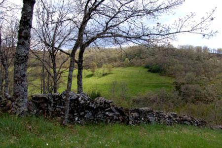 Casa Da Fonte De Travanca Travanca  Екстериор снимка